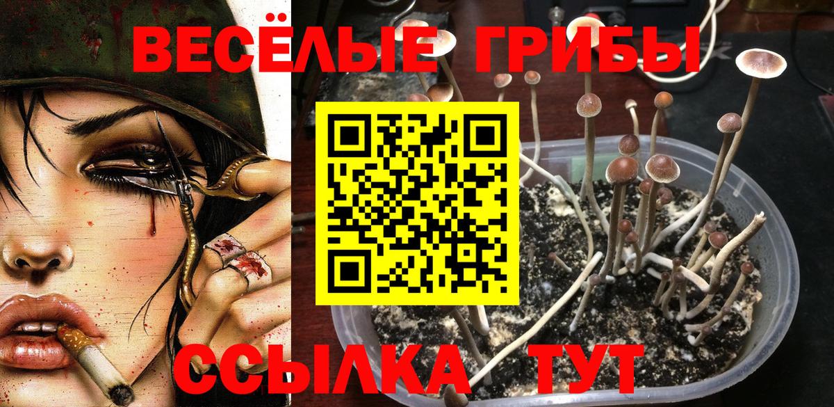 Псилоцибиновые грибы MAGIC MUSHROOMS  Вход с VPN  Михайловск 